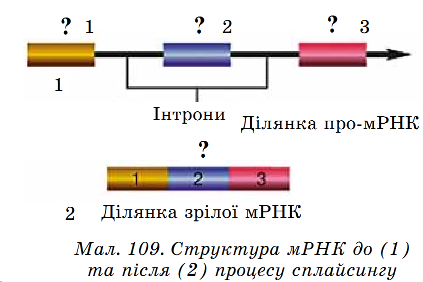0200rsmq-cfae-846x563.png