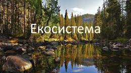 Екосистеми. Угруповання організмів