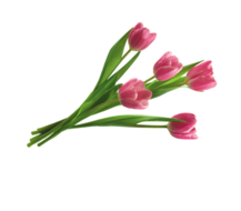 0200rsx0-1d14-217x190.png
