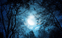 0200rsz1-1f2c-246x154.png
