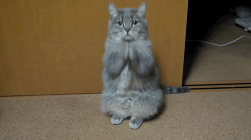0200rszq-998e-512x287.gif