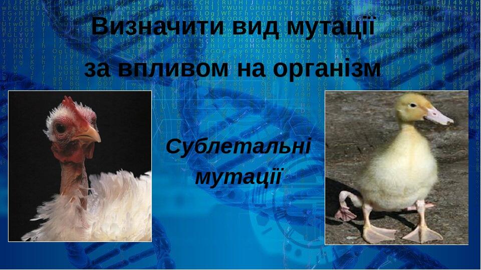 Презентація "Мутації. Типи мутацій. Мутагени." | Презентація. Біологія