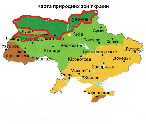0200rtkl-9906-512x436.png
