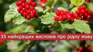 35 найкращих висловів про рідну мову