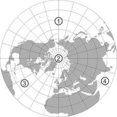 0200rvqu-96d1-228x228.jpg