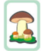 0200rw44-952f-66x75.png
