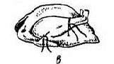 0200rwsh-2194-256x143.png