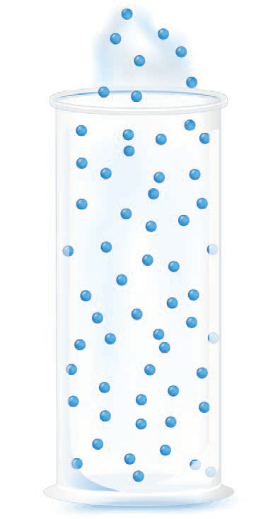 0200rycn-1d35-362x734.png