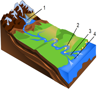 0200rzqv-8e81-405x369.png