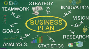 The Business Plan