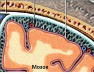 0200s1gm-e7f3-193x151.png