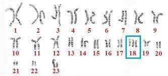 0200s2bx-3d32-333x151.jpg