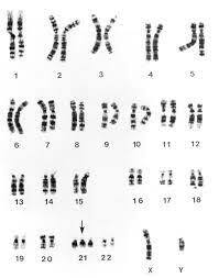 0200s2c0-9dd4-199x253.jpg