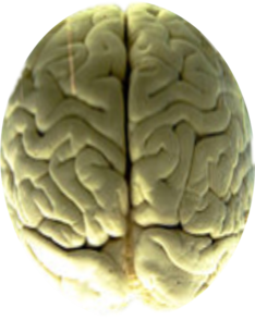 0200s2uc-5837-234x294.png