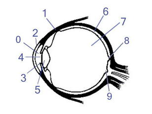0200s367-cba9-308x231.jpg