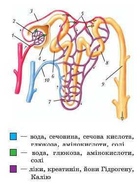 0200s380-0b43-279x375.jpg