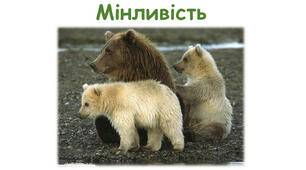 Мінливість