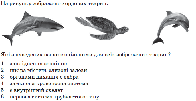 0200s8ke-cf22-687x355.png