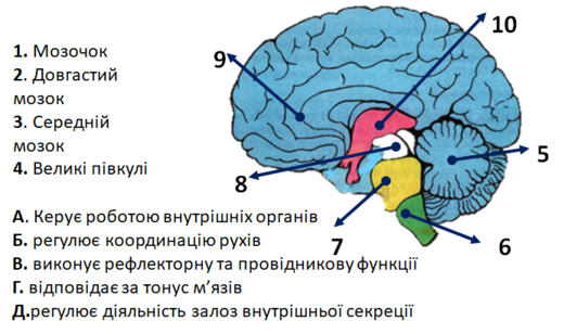 0200s8o1-0870-473x280.png