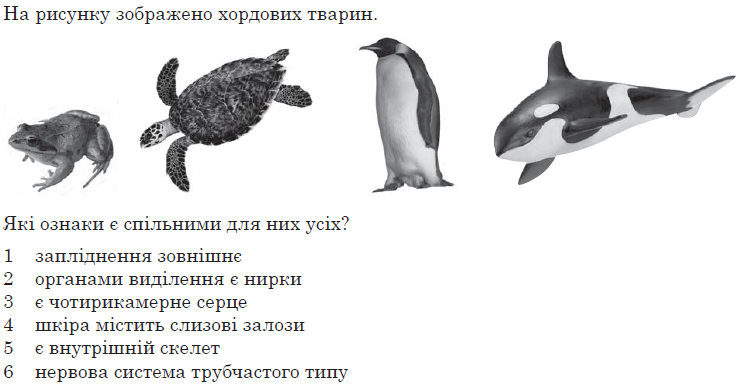 0200s8tg-7249-752x389.png