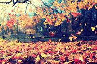 0200s9b7-9961-200x133.jpg