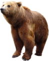 0200s9zw-dedb-100x121.png