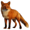 0200sa04-0c23-100x100.png