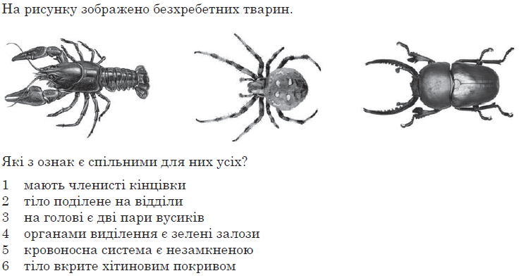 0200saa0-b991-753x395.png