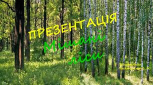 Природознавство Презентація "Мішані ліси".