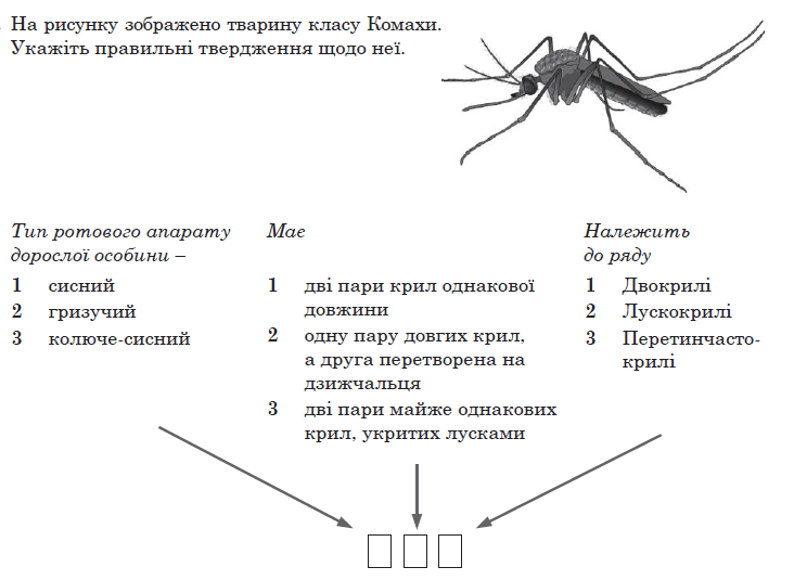 0200sbcc-c730-732x535.png