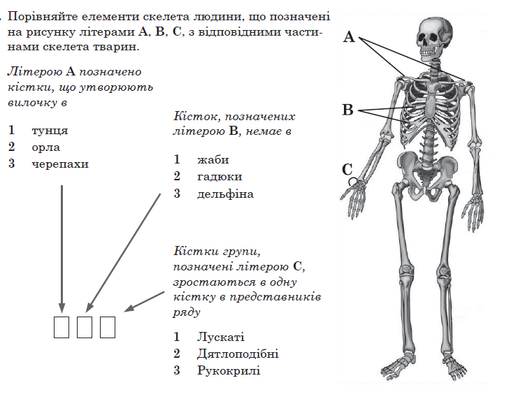 0200sbfs-729a-731x581.png