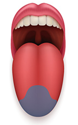 0200scw6-a2dc-159x255.png