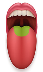 0200scwa-3a22-152x252.png