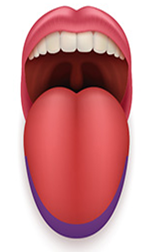 0200scwp-e2c4-162x252.png