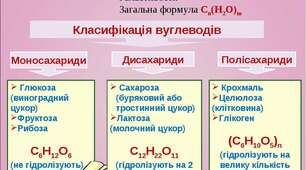 (Копія) Вуглеводи