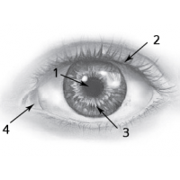0200se00-9cbf-200x200.png