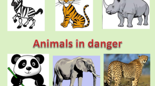 Animals in danger (To the top 2, 5d)