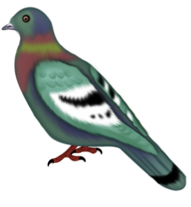 0200sfvr-4b41-276x300.png