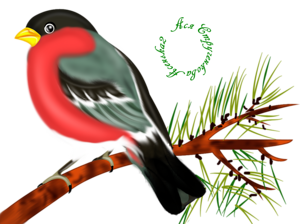 0200sfvt-0efa-300x224.png