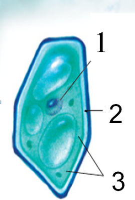 0200sh2r-7818-269x396.png