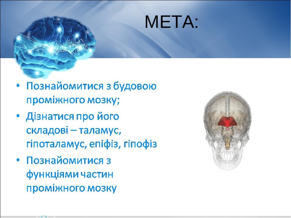 МЕТА: