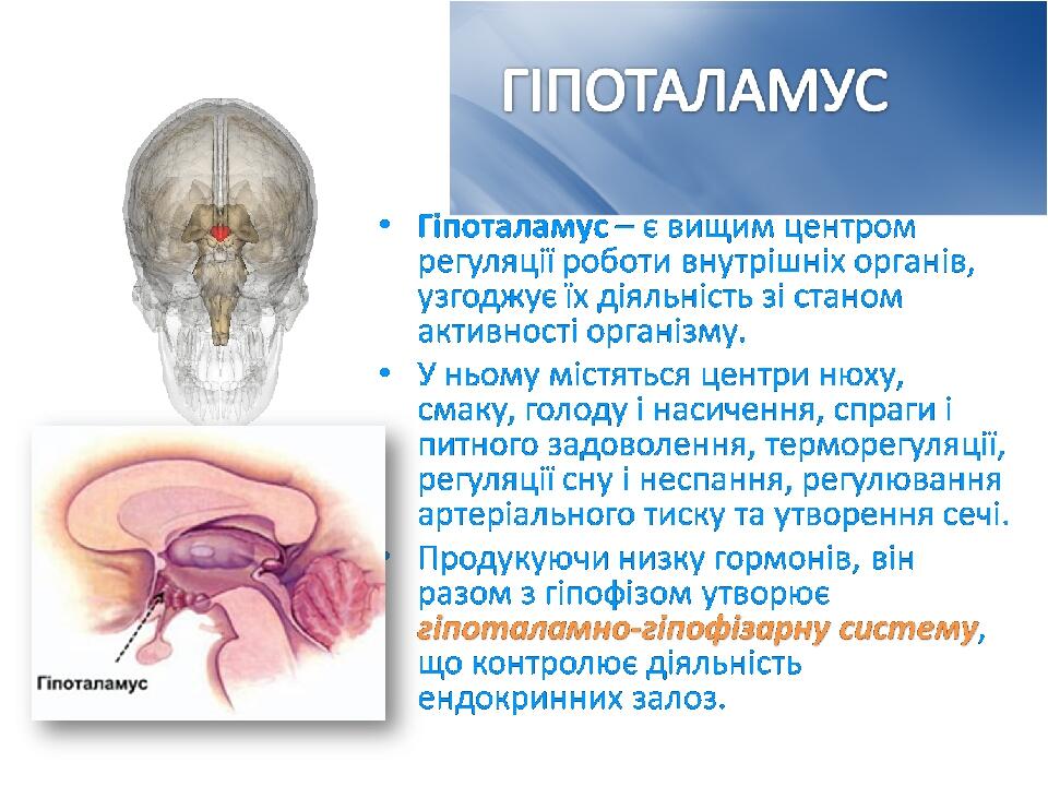 © Copyright Showeet.com