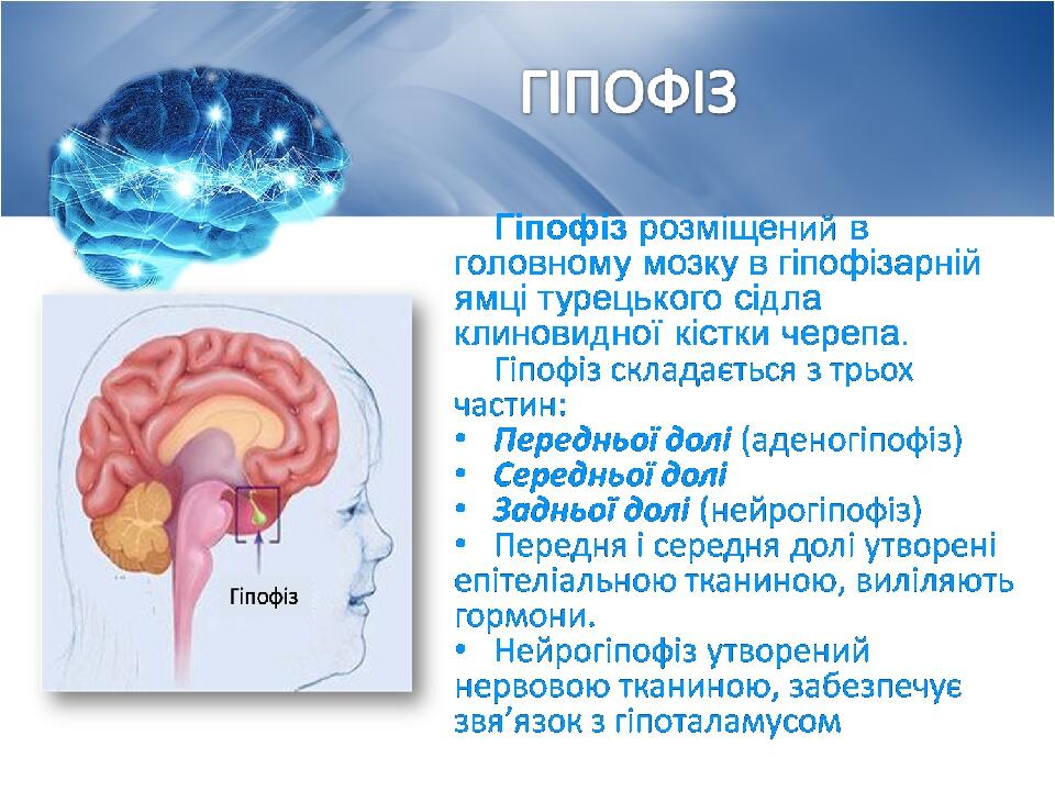 © Copyright Showeet.com