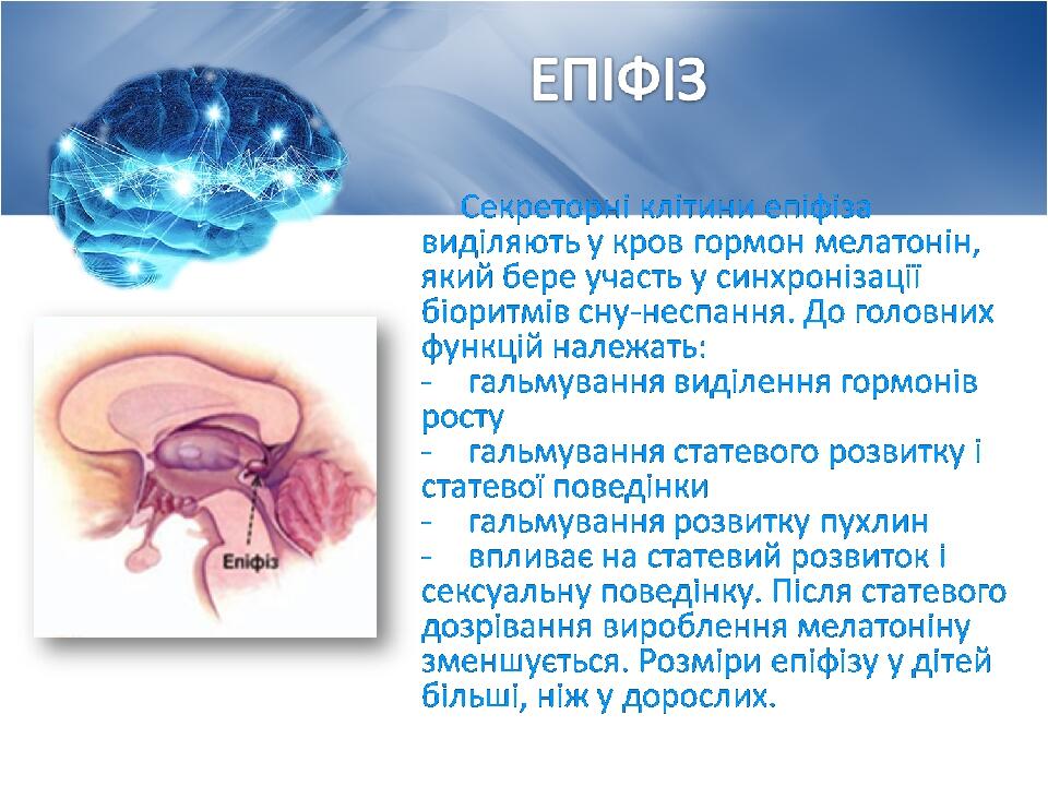 © Copyright Showeet.com