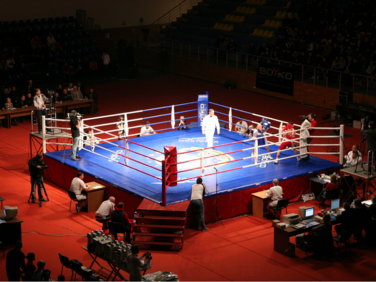 0200skse-0069-376x282.png
