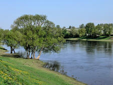 0200smeo-2517-225x169.jpg