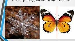   Симетрія відносно точки і прямої. Паралельне перенесення. Поворот