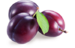 0200snwo-0b93-75x48.png