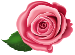 0200so33-ffbf-75x55.png