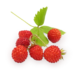 0200so5o-9ade-75x75.png